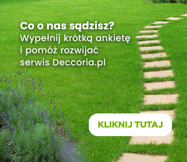 Co o nas sądzisz?