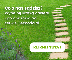 Co o nas sądzisz?